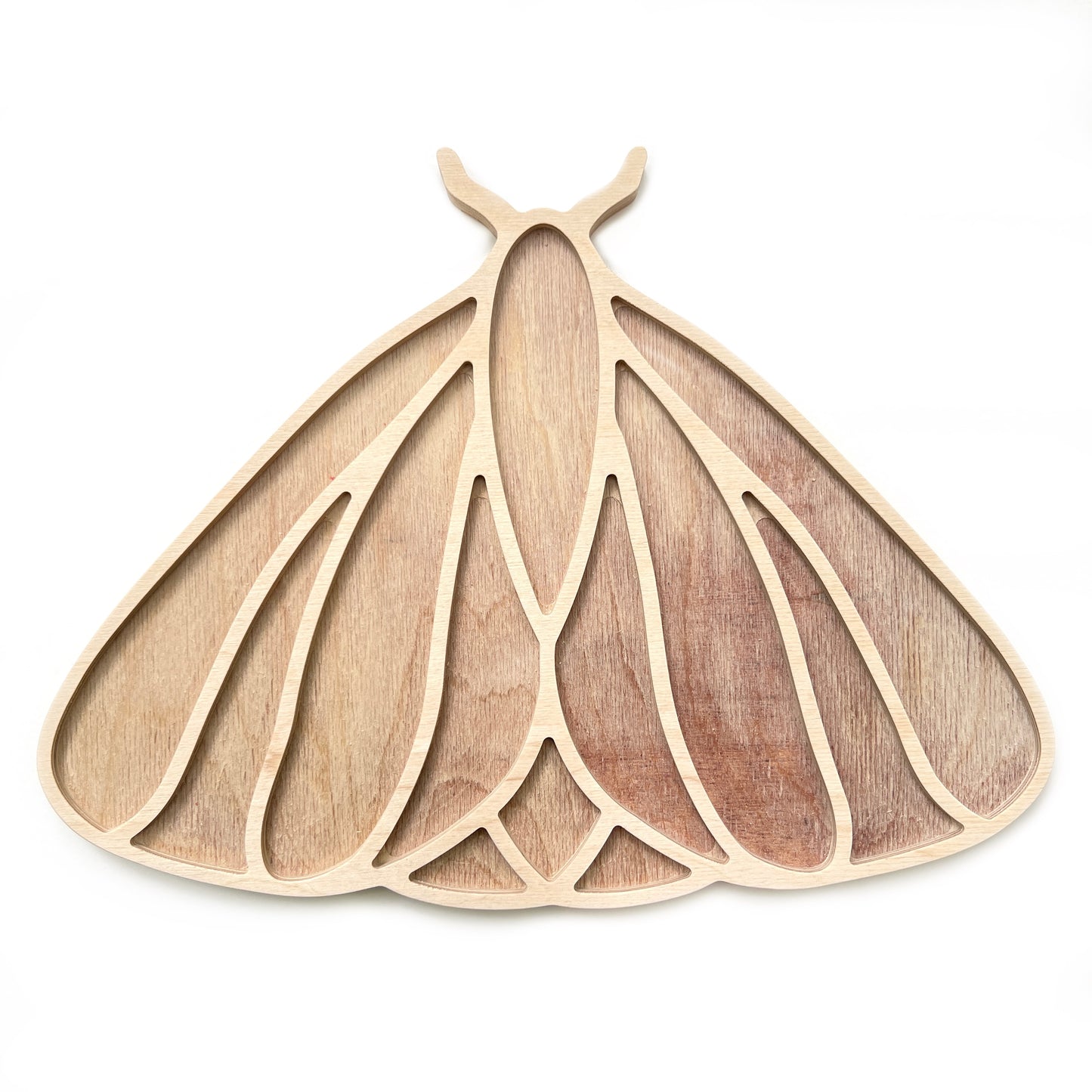 Sharra's Shapes | Moth Mosaic Substrate