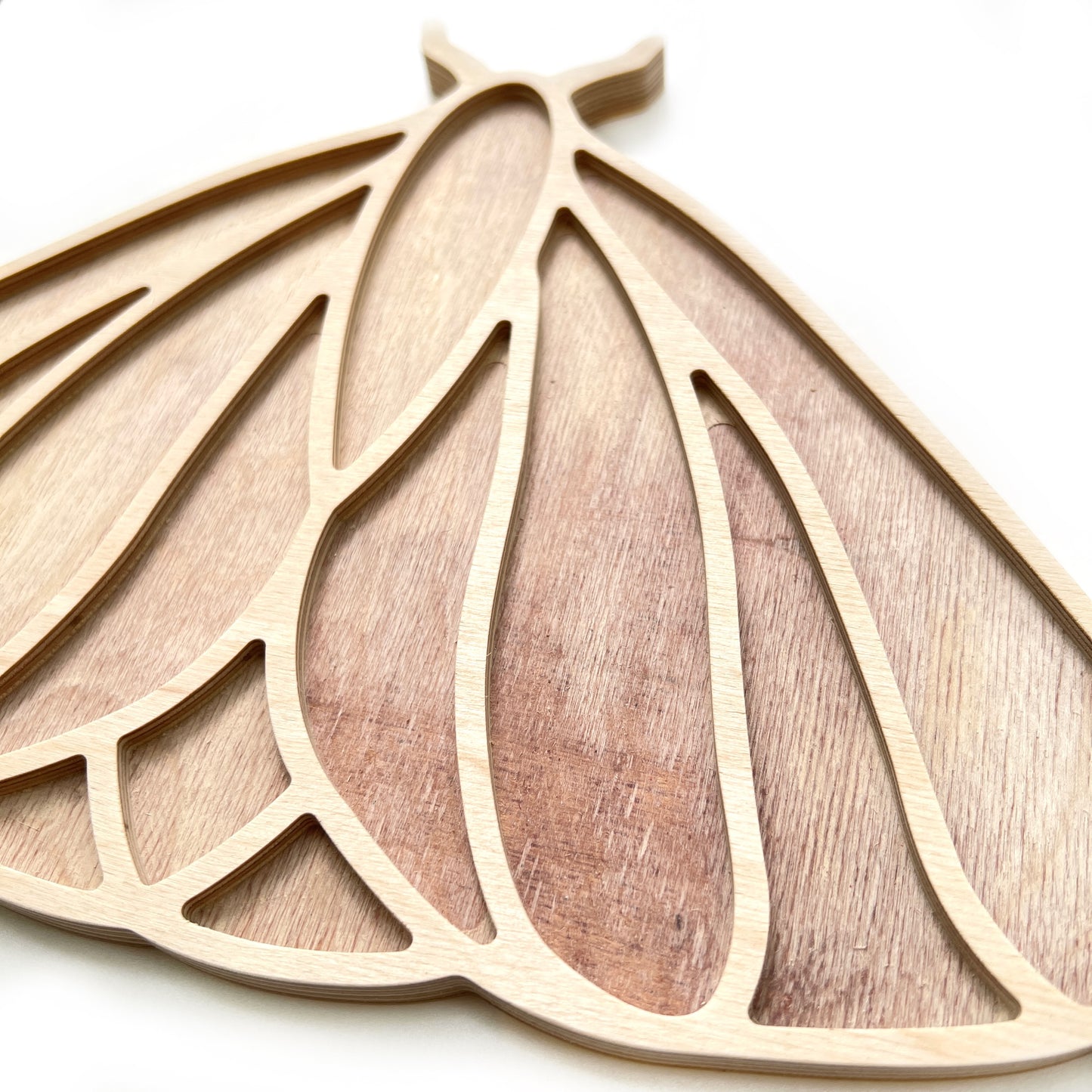 Sharra's Shapes | Moth Mosaic Substrate