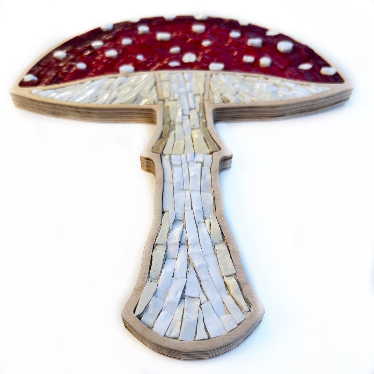 Red Mushroom Mosaic by Sharra Frank