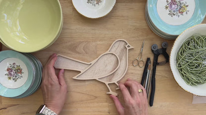 Sharra Frank Mosaic Class Bird Intro